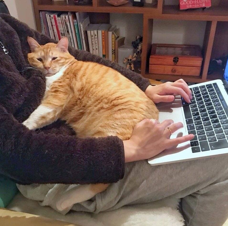 Фото из Интернета.