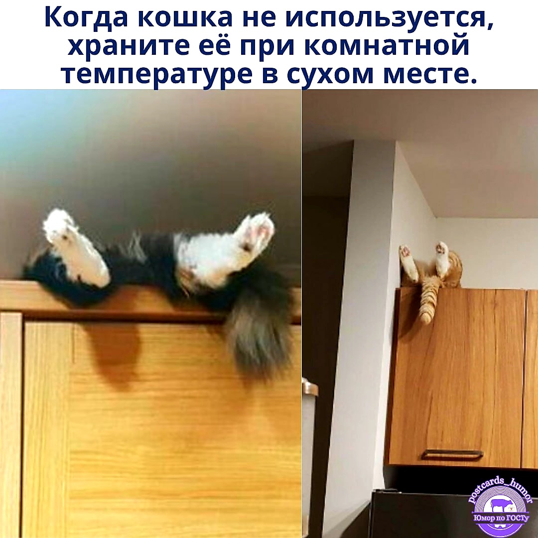 Общий доступ. Интернет