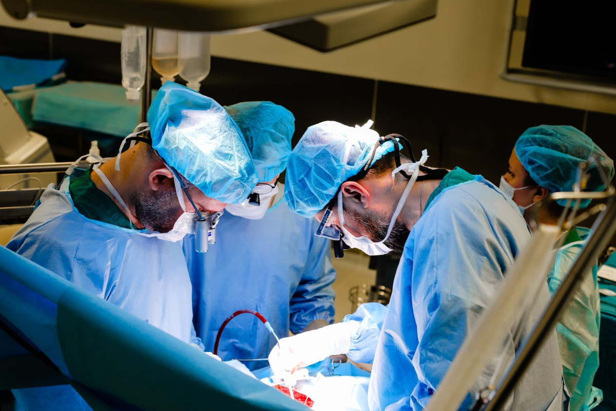 Фото: https://www.dvfu.ru