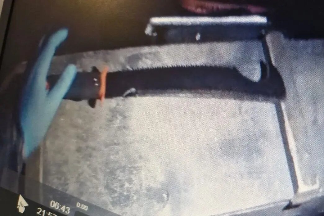    Фото: пресс-служба Росгвардии Петербурга