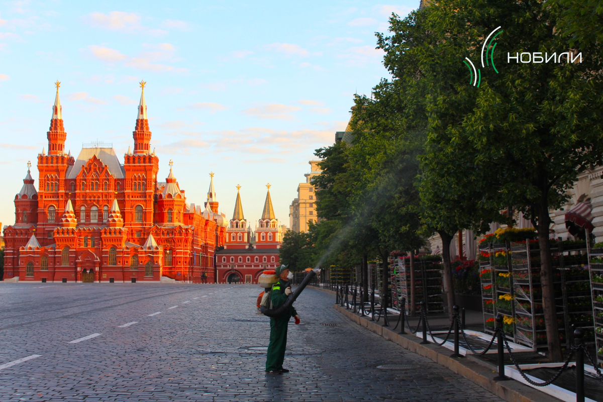 Фото из архива компании «Нобили»