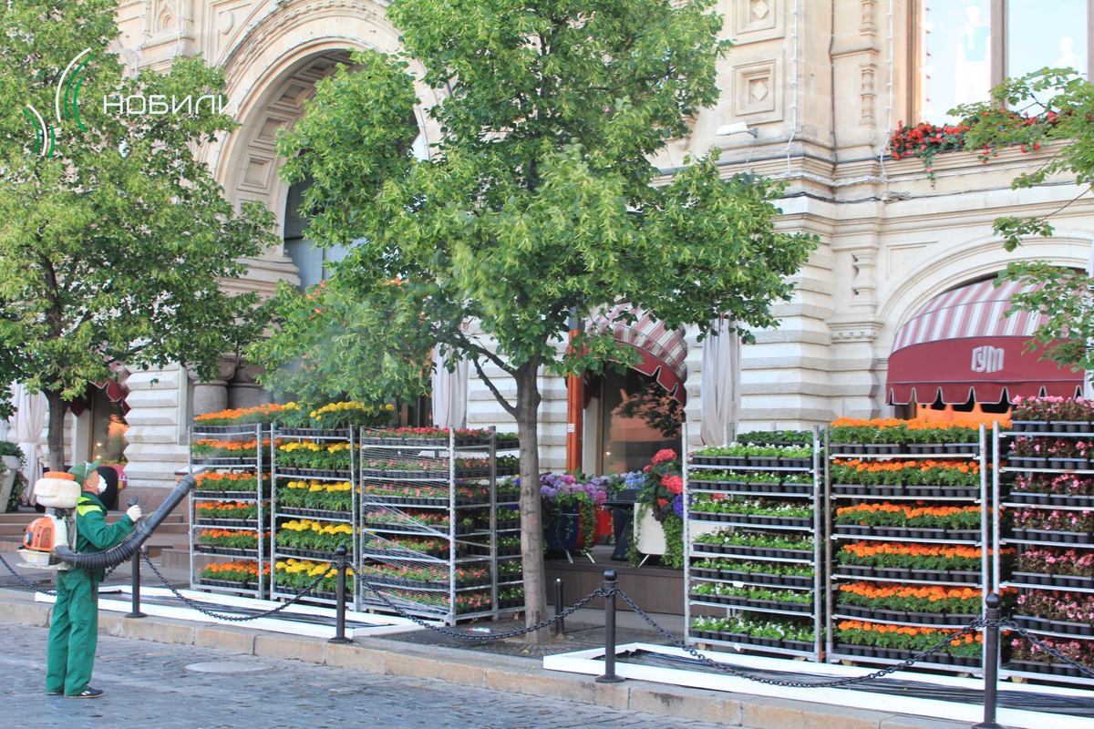 Фото из архива компании «Нобили»