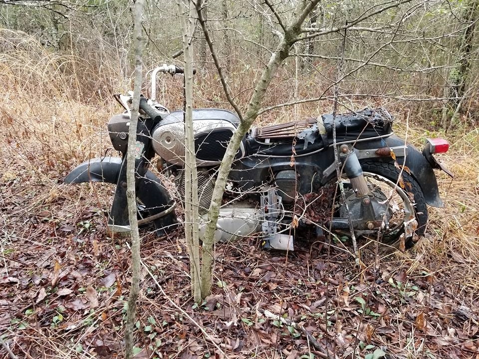    Фото: Березниковский городской суд Полина Анкушина
