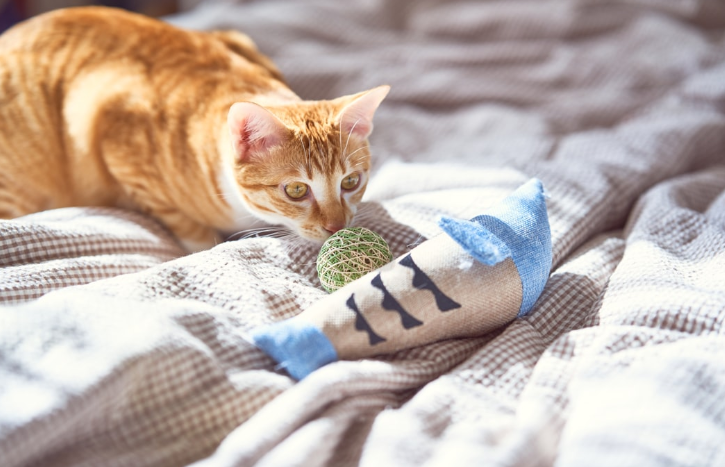 Уже что-то принес 