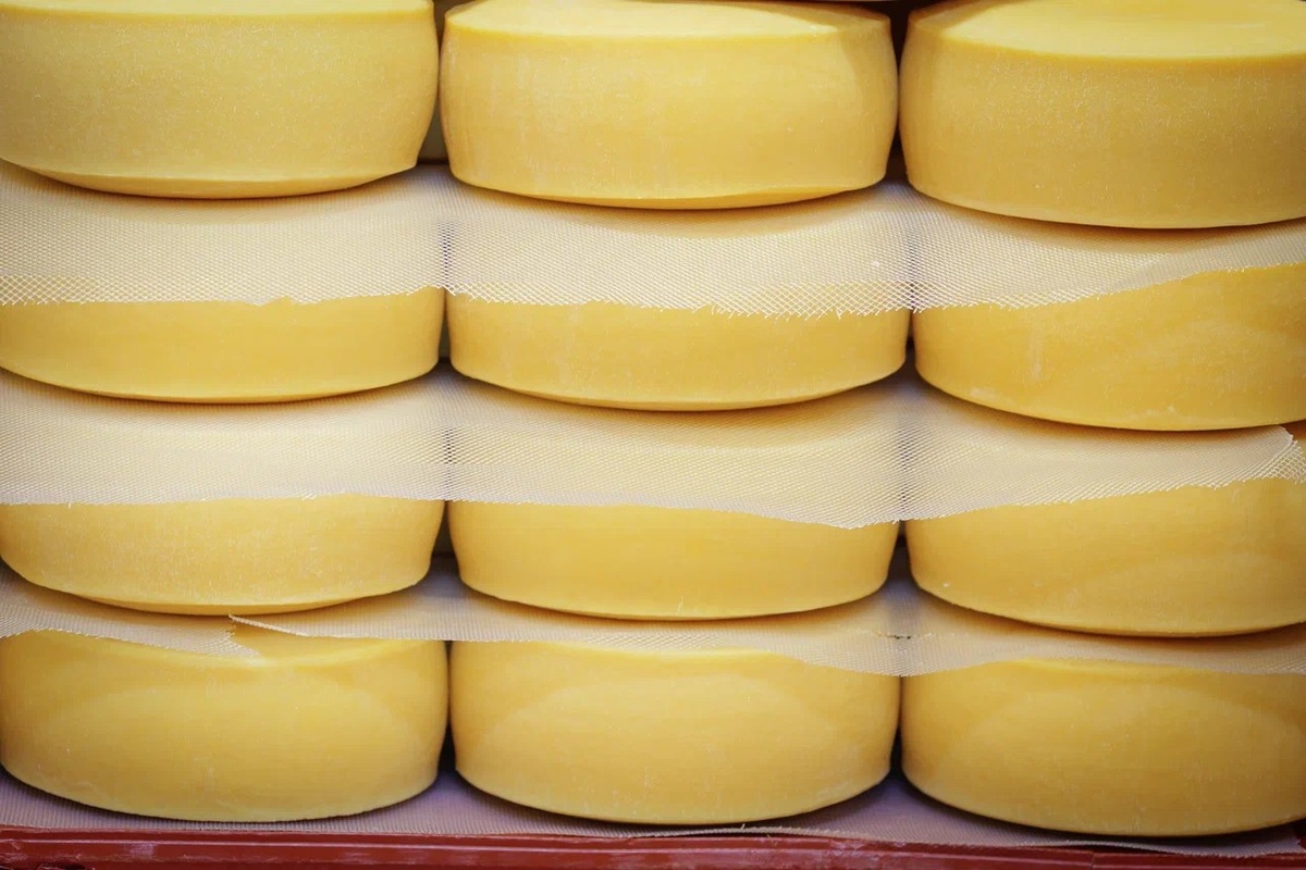 Grande Fortezza в камере созревания