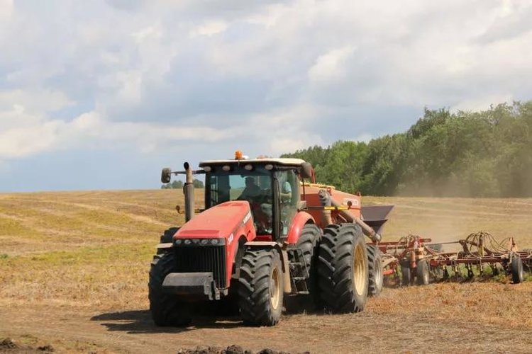    Фото: Пресс-служба Минсельхоза Республики Башкортостан