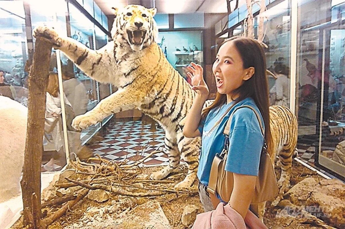    Фасады здания Зоологического музея отреставрируют