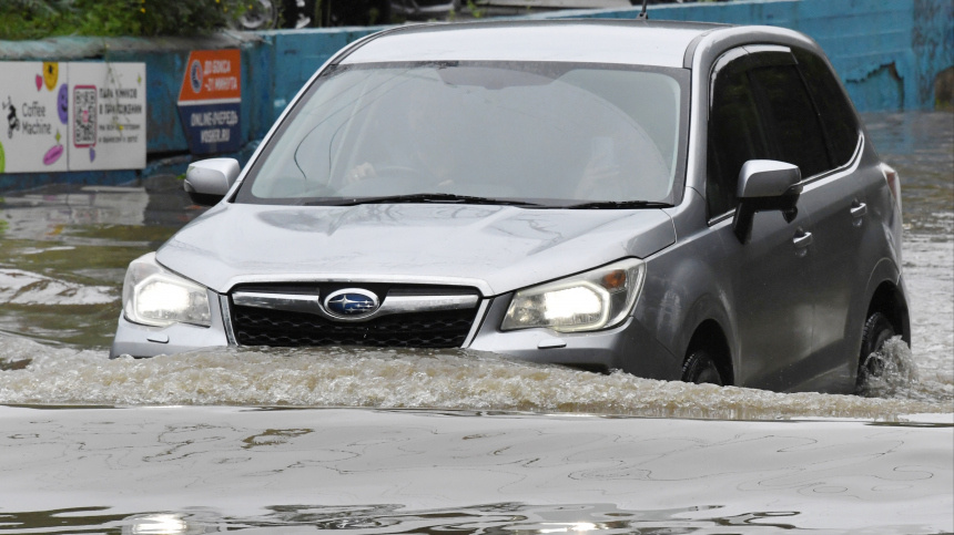    Фото: © РИА Новости/Виталий Аньков; 5-tv.ru