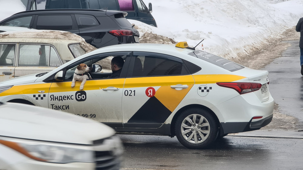    Таксист отказался везти девушку и позвал на разборку друзей — кто кого победил в Обнинске