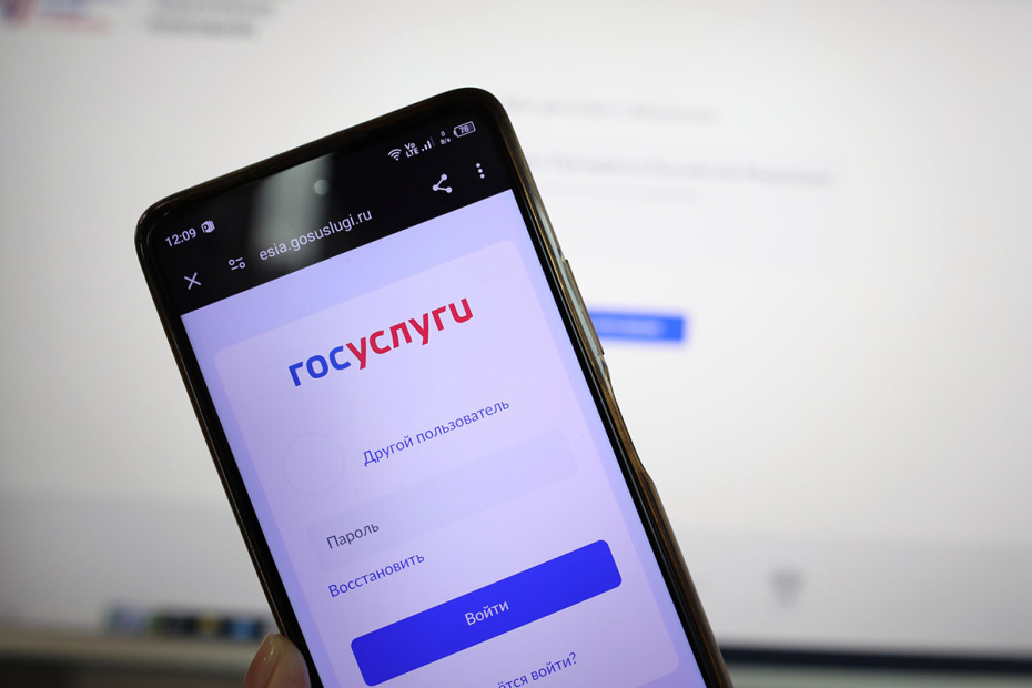    Александра Погиба/NEWS.ru