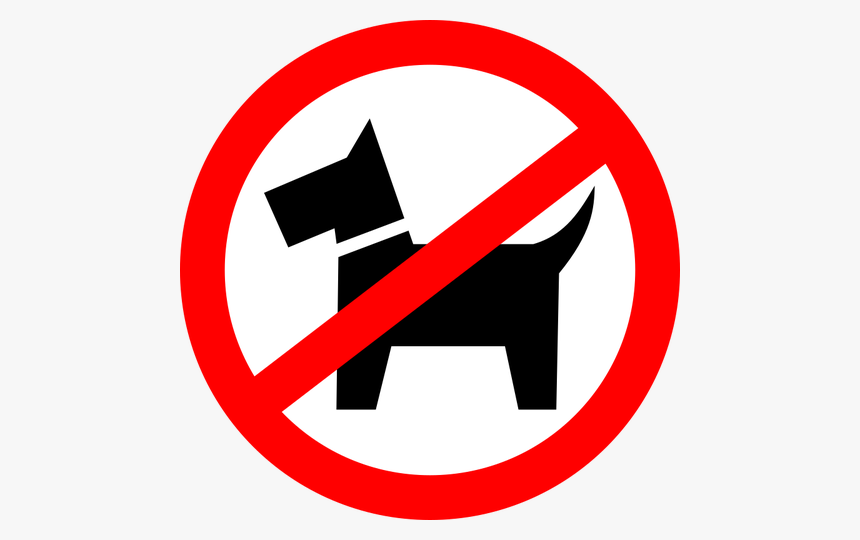 Друг человека или источник походных "приключений" в дикой природе: почему заповедник нельзя посещать с домашними животными?