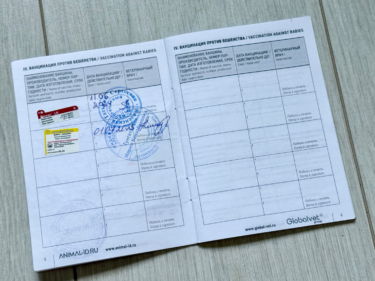 Прививка против бешенства и чумы. 