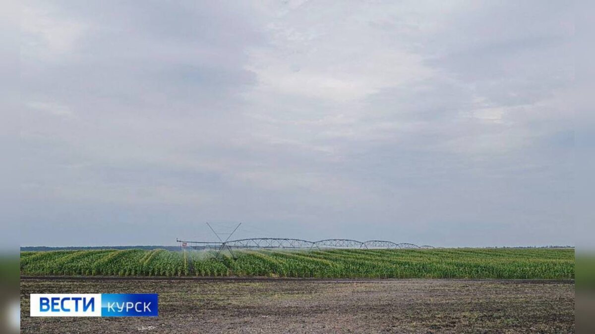    На курских полях используются новые технологии