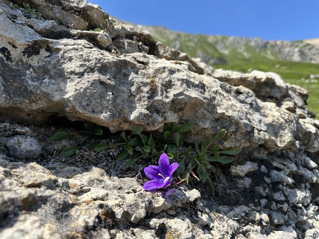 Плато Лаго-Наки