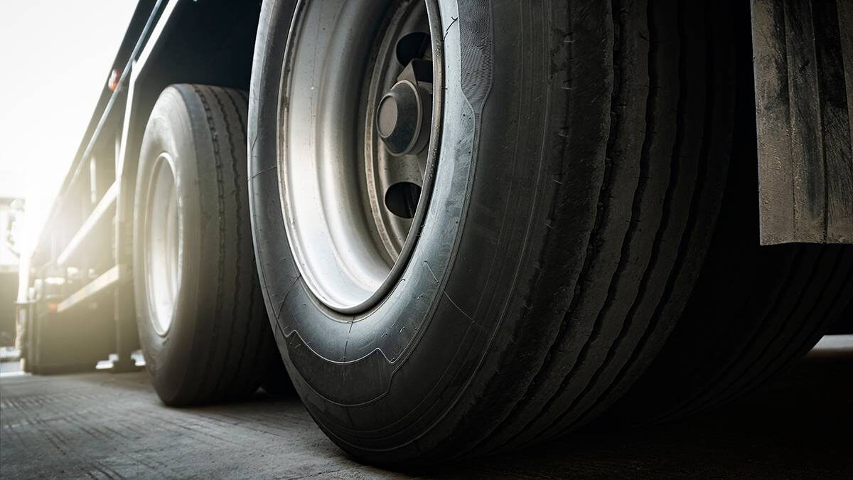    Фото: Shutterstock