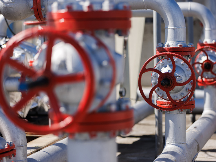 © Sergey Elagin/ Business Online/ Global Look Press