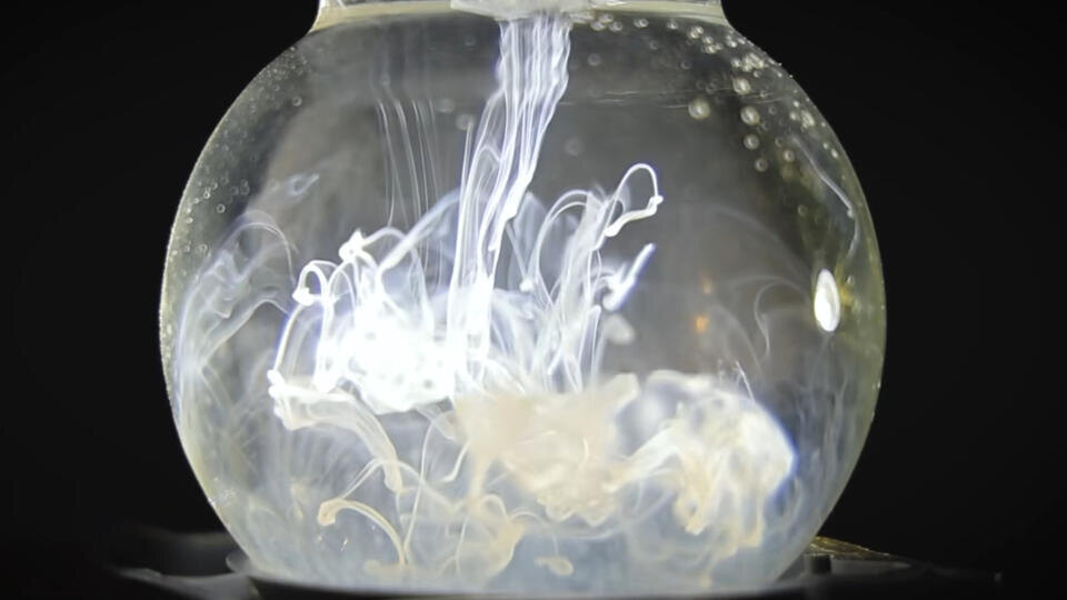 Фото: © Кадр из программы "Знаете ли вы, что?", РЕН ТВ