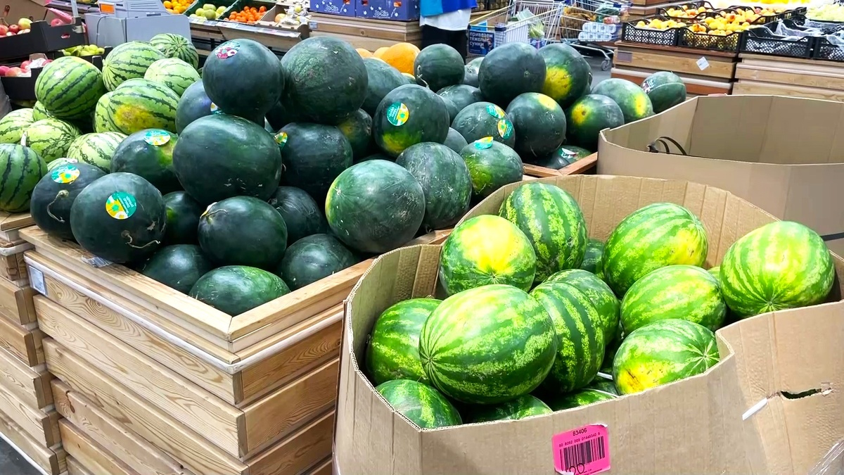    «Чёрный принц» или «Яйцо дракона» - какие арбузы выбирают югорчане