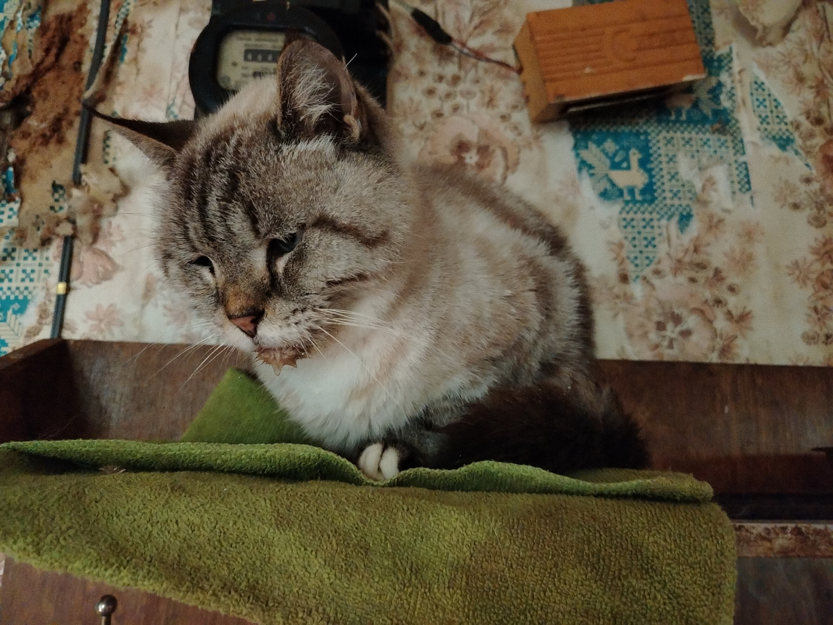 Марио сидит на вешалке. 