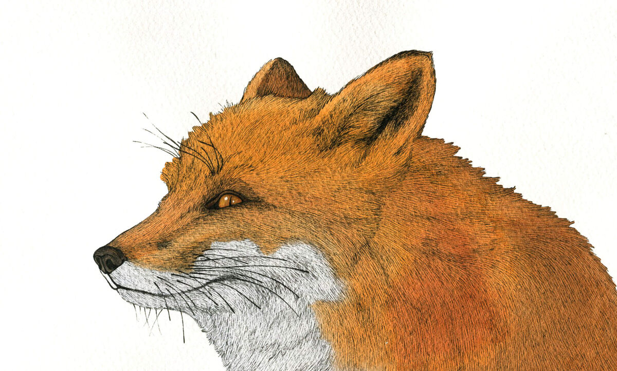 Хитрый брокер придумал, как проиграть ваши бумаги в РЕПО.