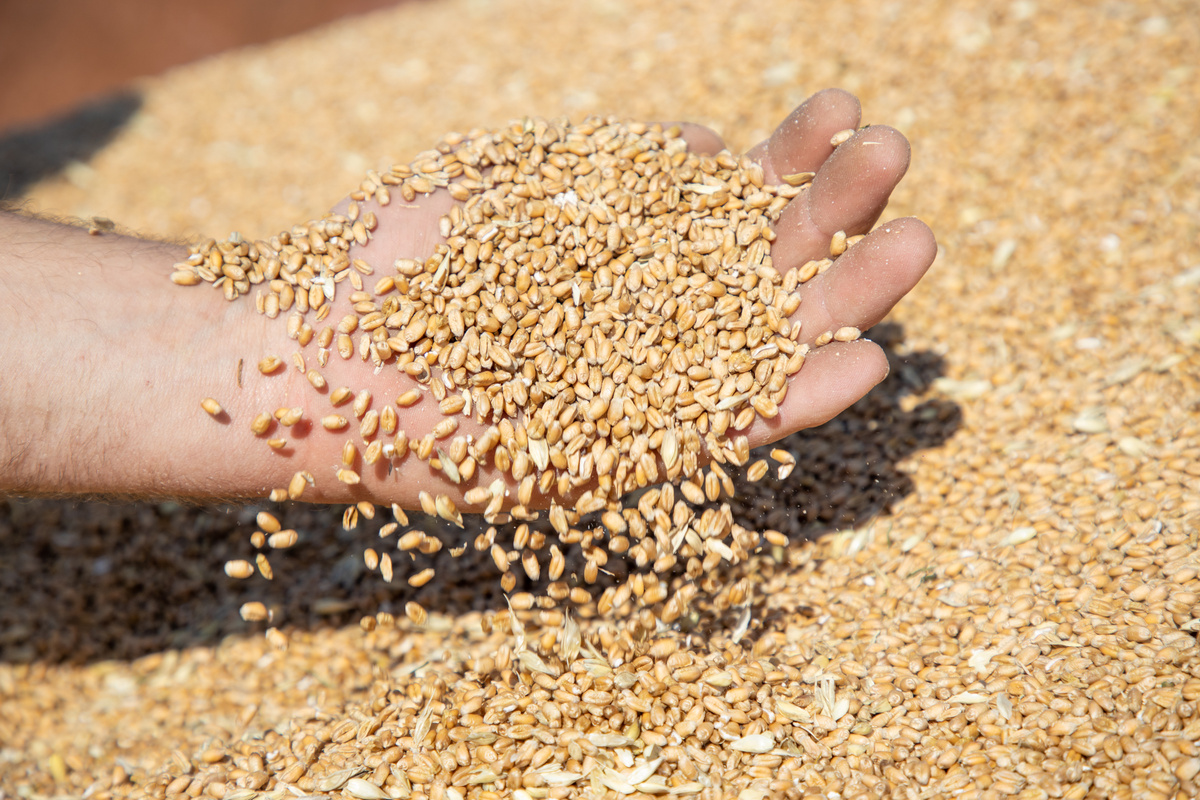 Фото: Тульская служба новостей