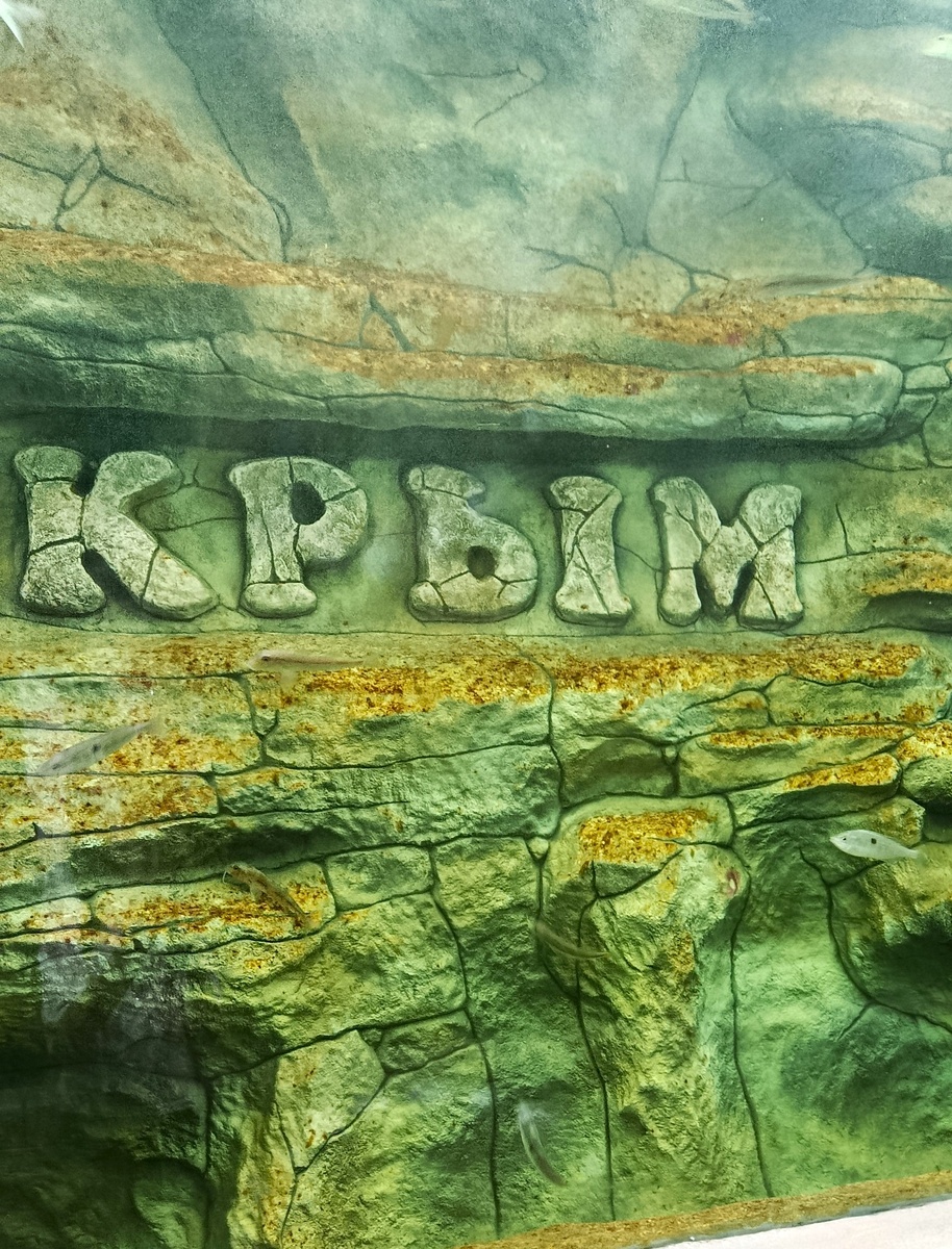 Туннель в ялтинском океанариуме