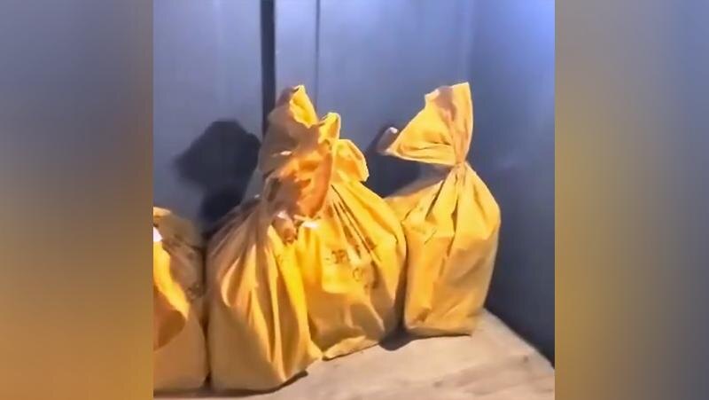    Фото: t.me/sztproc