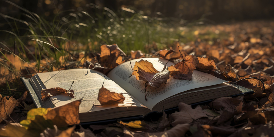 ТОП-10 книг для атмосферного осеннего чтения!