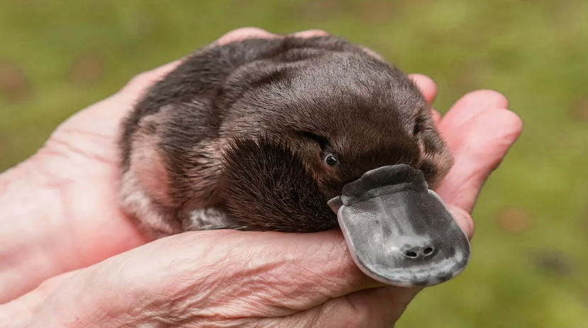 Ну какая милашка!