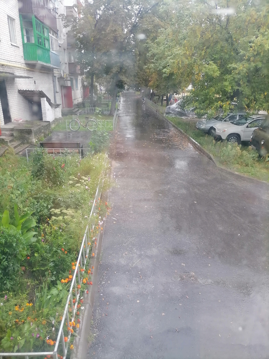 Дождливое утро