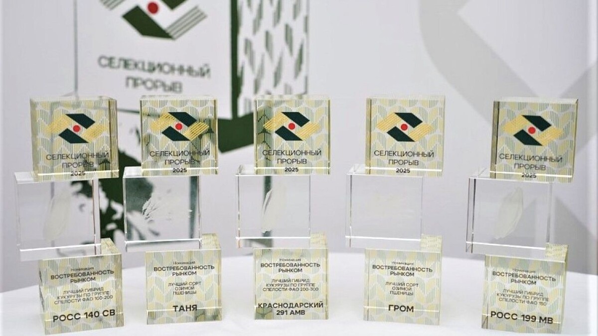    фото: пресс-служба администрации Краснодарского края