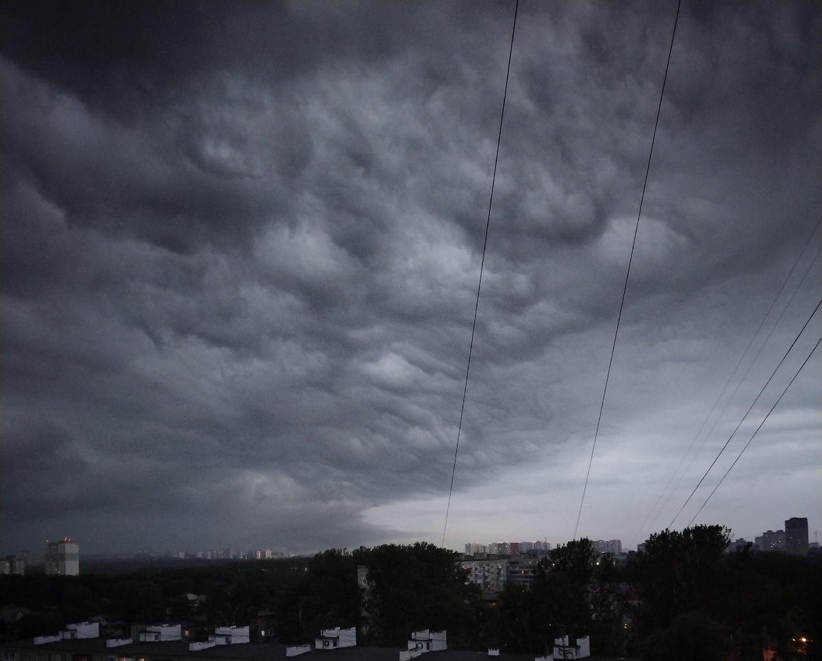 Фото из личного архива