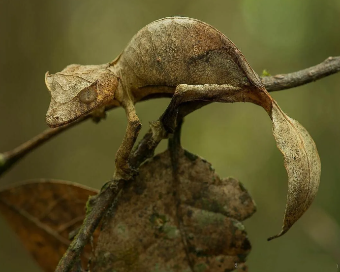 Подпишись на мой канал!