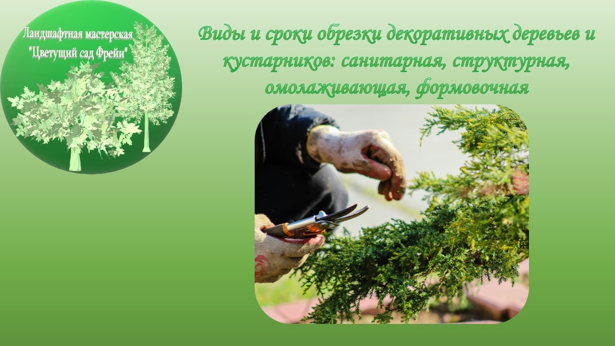 Фото автора с использованием изображения по Лицензии CC0.