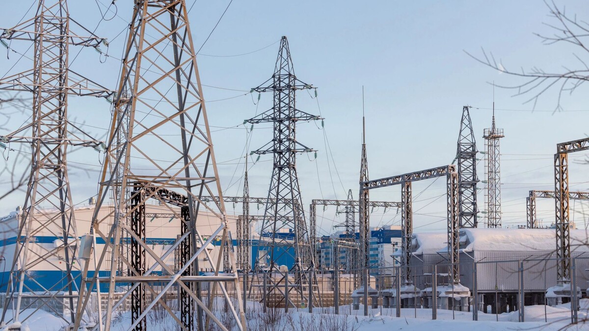    Фото: Федор Воронов/«Ямал-Медиа»