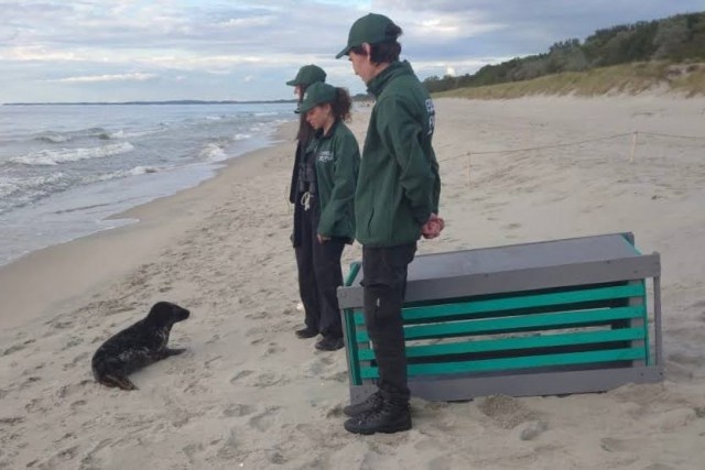   Фото: телеграм-канал Северо-Западного управления Росприроднадзора