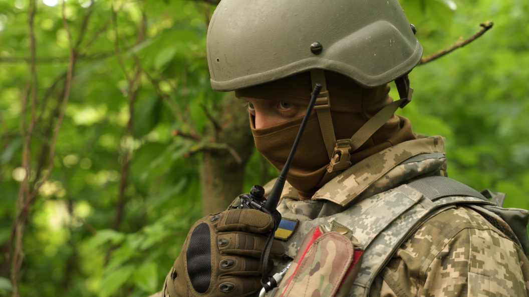    Фото: seeasign/shutterstock.com