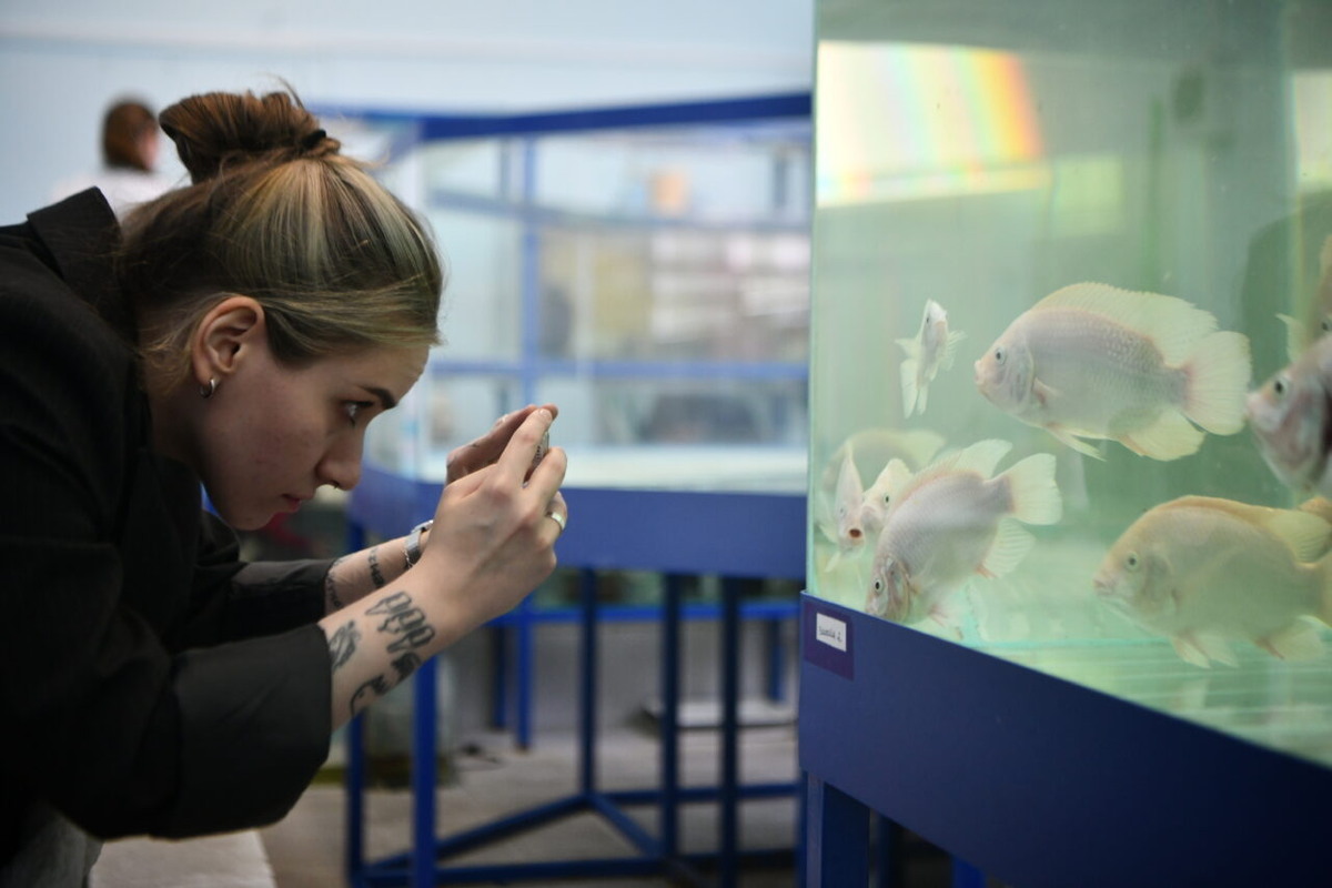    Фото: «Республика» / Лилия Кончакова