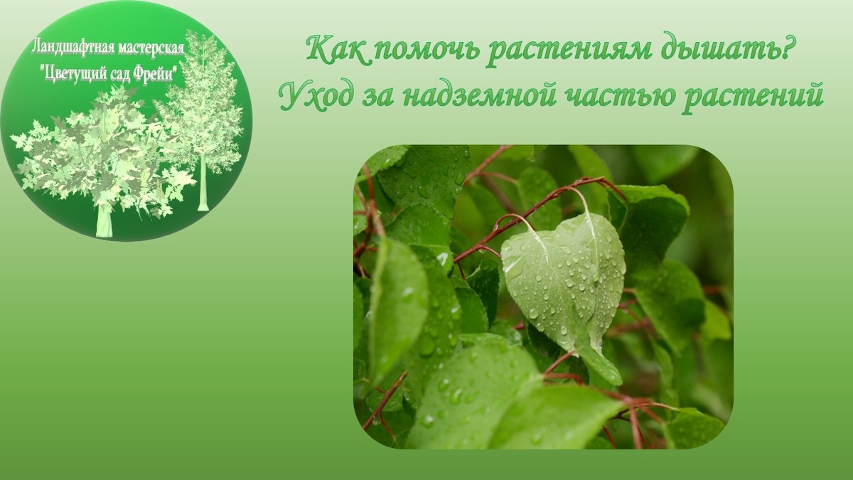 Фото автора с использованием изображения по Лицензии CC0.