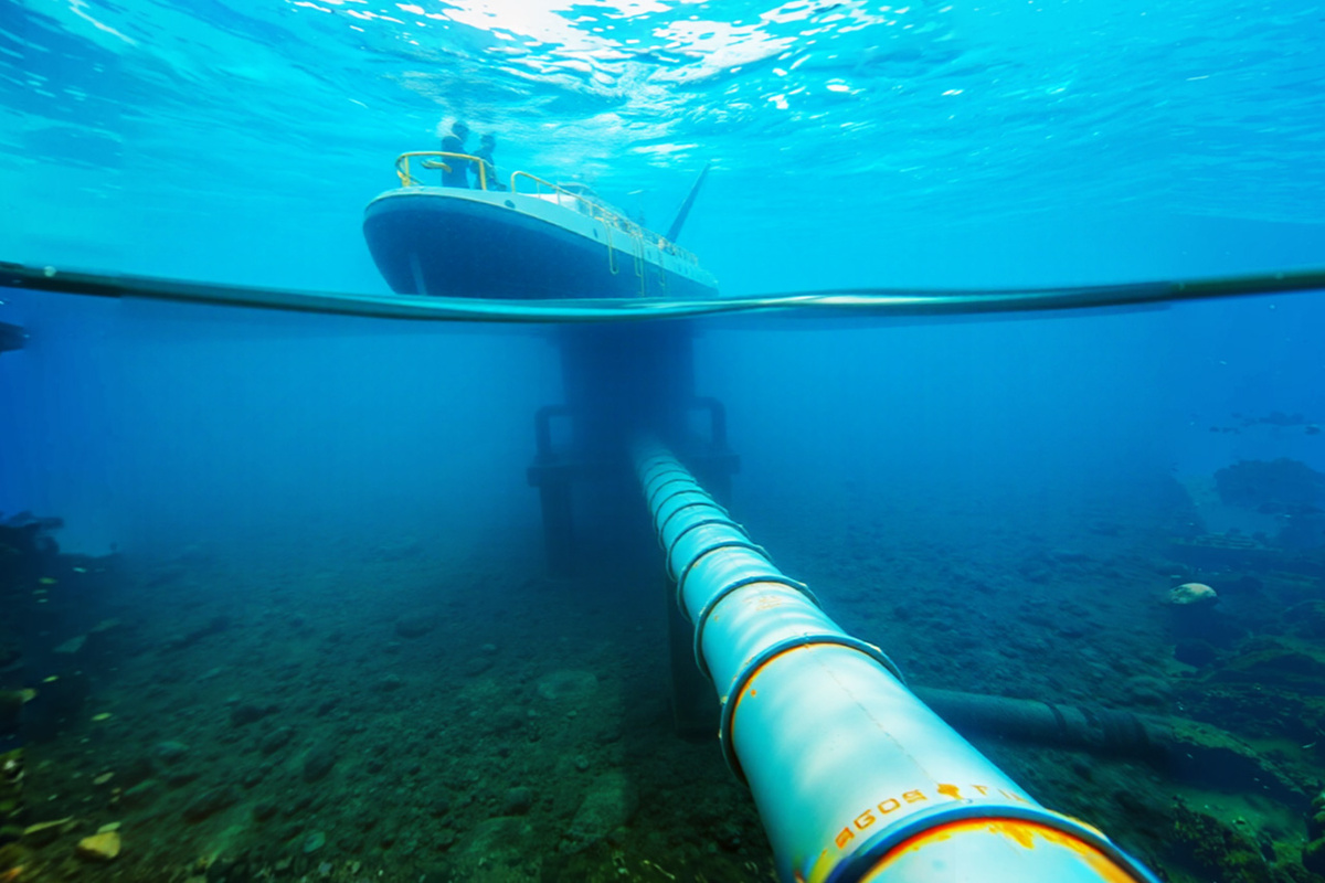 Изображение сгенерировано нейросетью Kandinsky 3.1