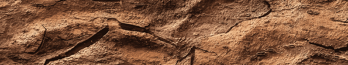 🪵 Дерево 甲, 乙
