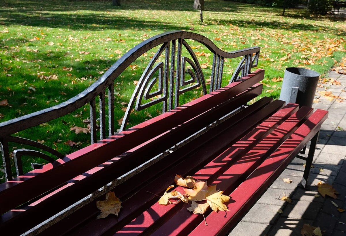    Тамбов выиграл 107 миллионов на благоустройство набережной Студенца