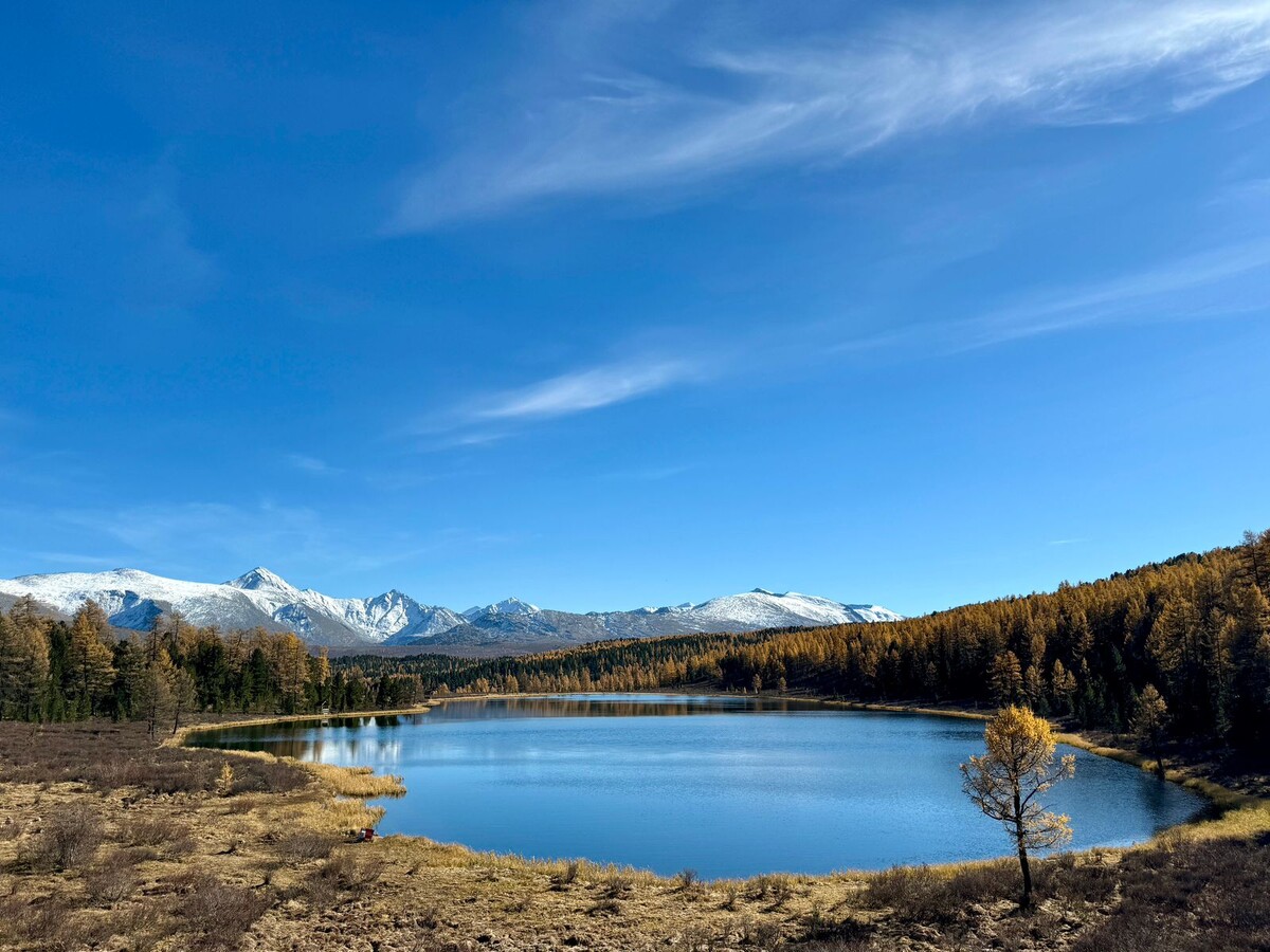 Фото из интернета. Красоты Горного Алтая