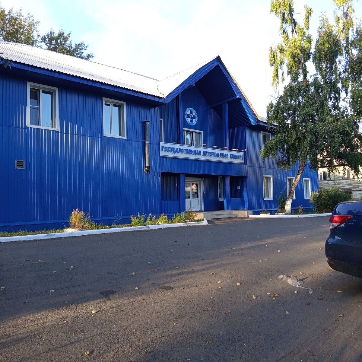 Фото автора. Государственная ветеринарная клиника. 