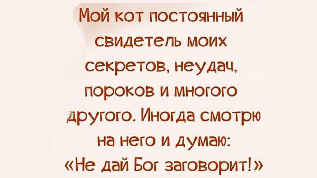 Взято из интернета