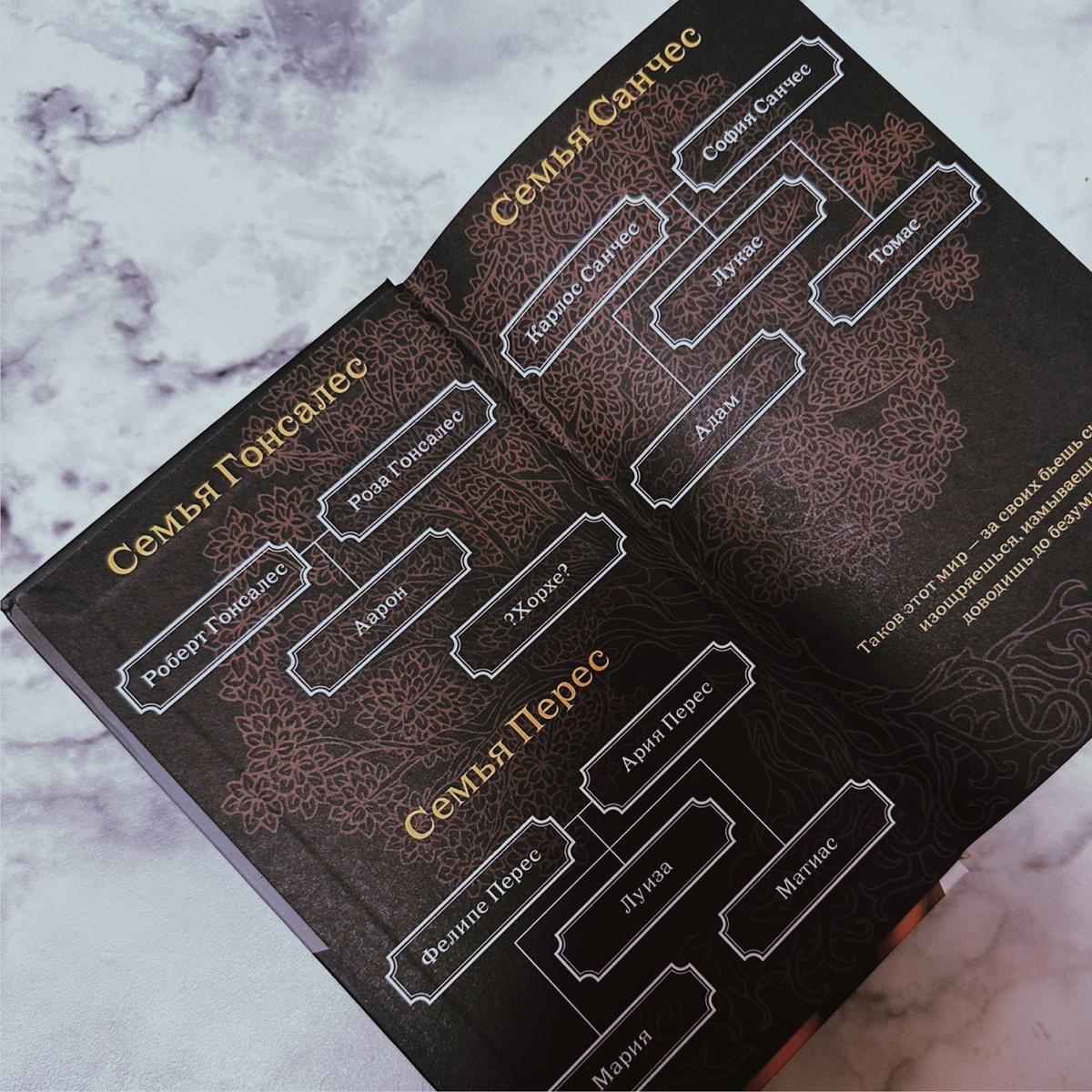 Фото Анны Карповой/Книжная лавка: жизнь любителя почитать