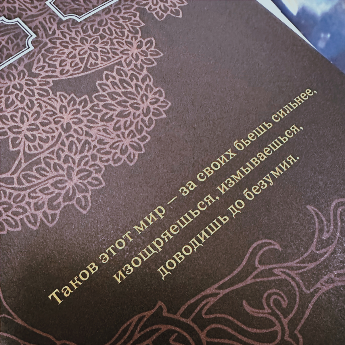 Фото Анны Карповой/Книжная лавка: жизнь любителя почитать