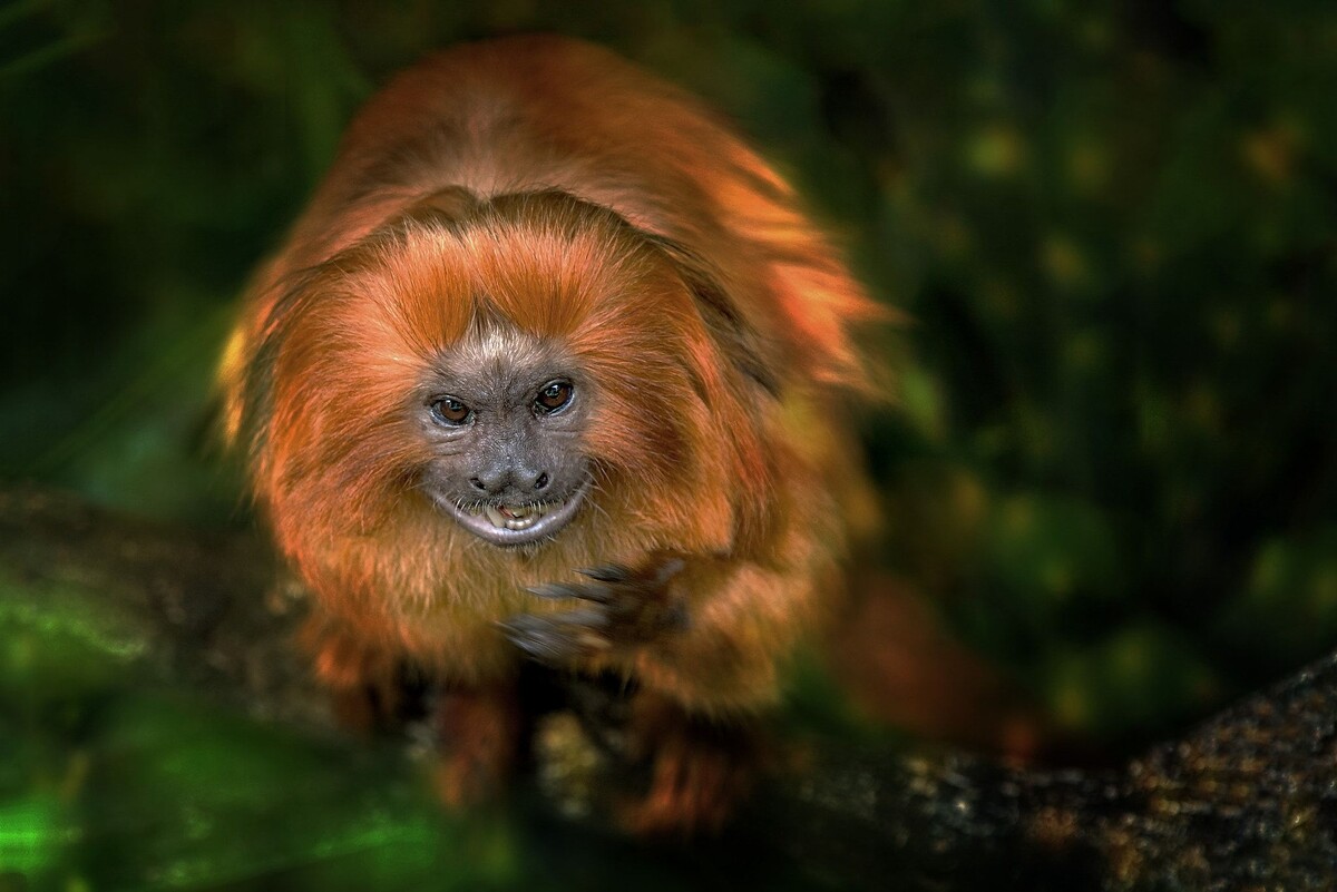 Кадр взят из открытых источников.