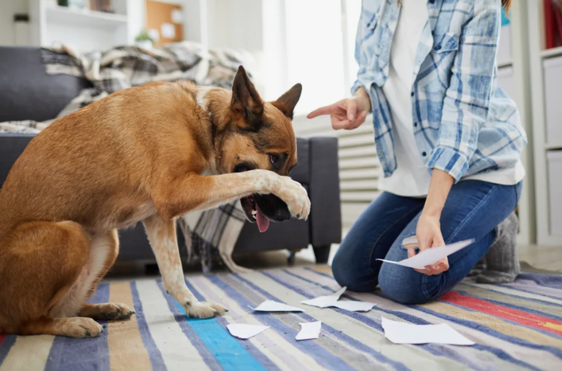 Фото с сайта gismeteo.ru