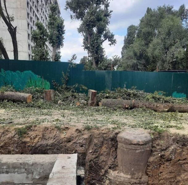    Фото: читательница «МОЁ!»